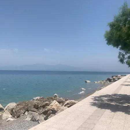 Blackbird Seaside Apartment